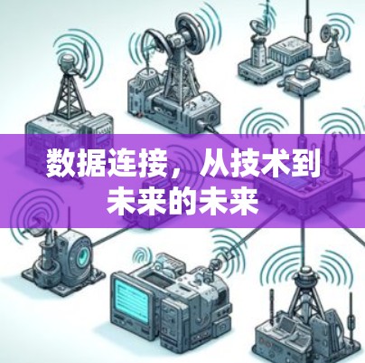 数据连接,从技术到未来的未来