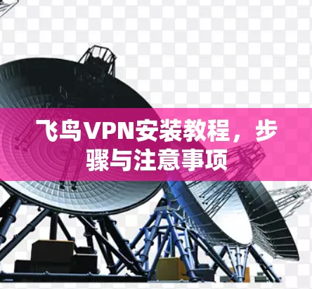飞鸟VPN安装教程,步骤与注意事项