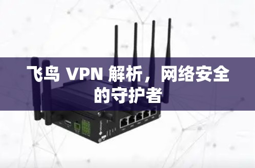 飞鸟 VPN 解析，网络安全的守护者