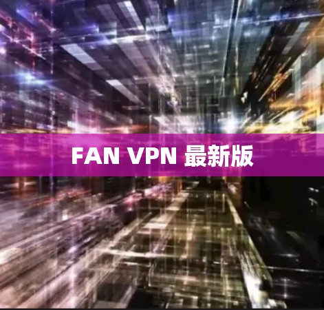 FAN VPN 最新版