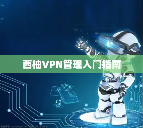 西柚VPN管理入门指南