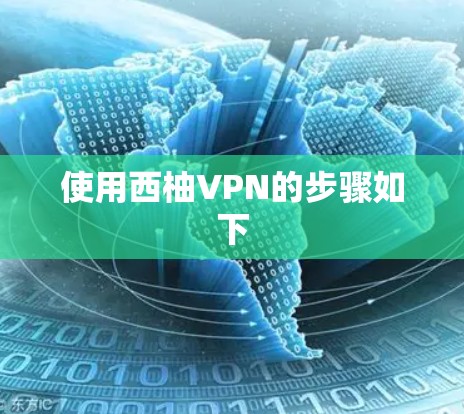 使用西柚VPN的步骤如下 使用西柚VPN的步骤如下
