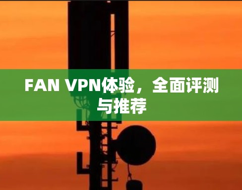 FAN VPN体验，全面评测与推荐