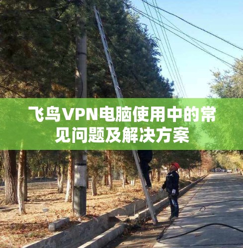 飞鸟VPN电脑使用中的常见问题及解决方案