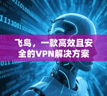 飞鸟,一款高效且安全的VPN解决方案 飞鸟,一款高效且安全的VPN解决方案