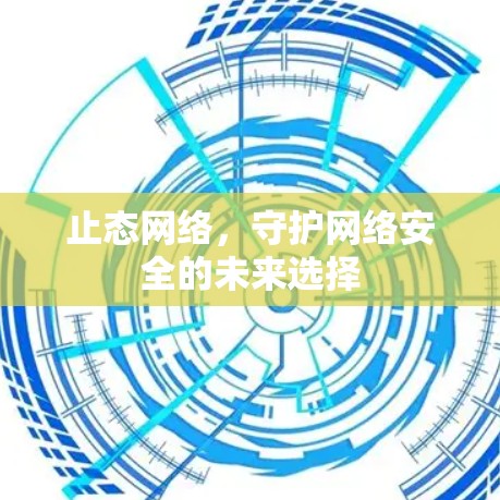 止态网络，守护网络安全的未来选择