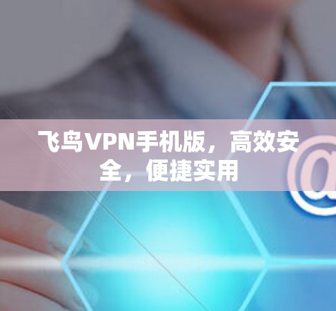 飞鸟VPN手机版，高效安全，便捷实用