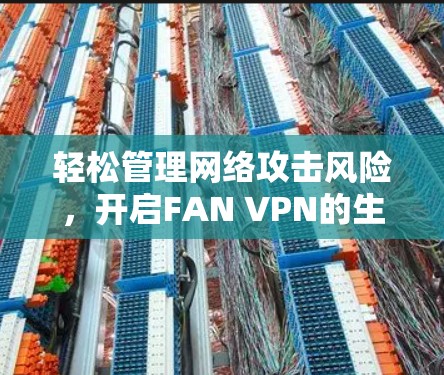 轻松管理网络攻击风险，开启FAN VPN的生命