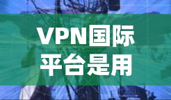 VPN国际平台是用户在访问国外网站或服务时常用的工具，用于保护个人信息和安全。以下是推荐的国际VPN平台和注意事项