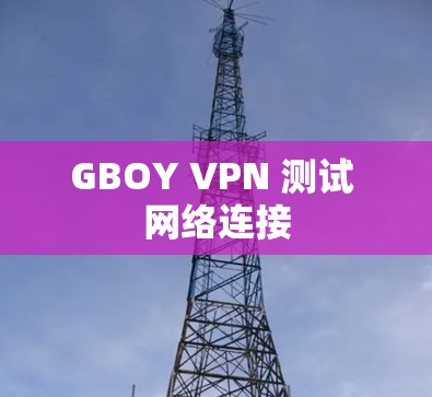 GBOY VPN 测试 网络连接 GBOY VPN 测试 网络连接