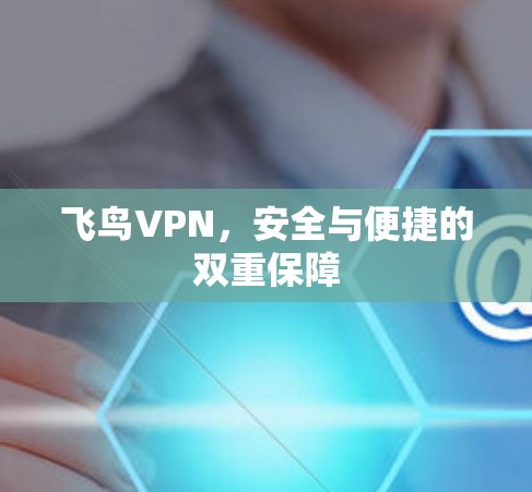 飞鸟VPN,安全与便捷的双重保障 飞鸟VPN,安全与便捷的双重保障