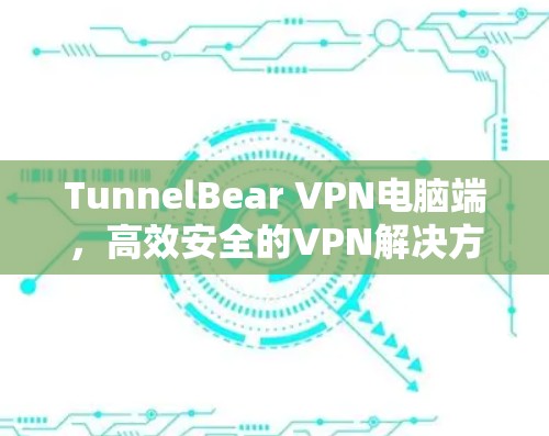 TunnelBear VPN电脑端，高效安全的VPN解决方案