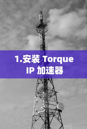 1.安装 Torque IP 加速器