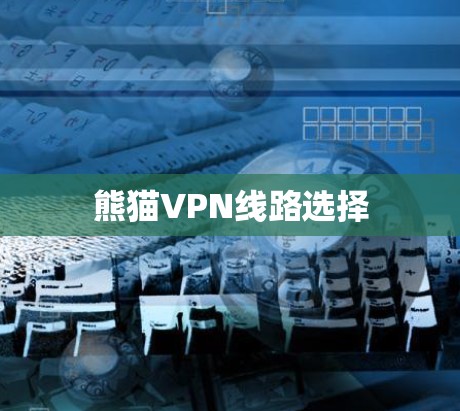 熊猫VPN线路选择 熊猫VPN线路选择