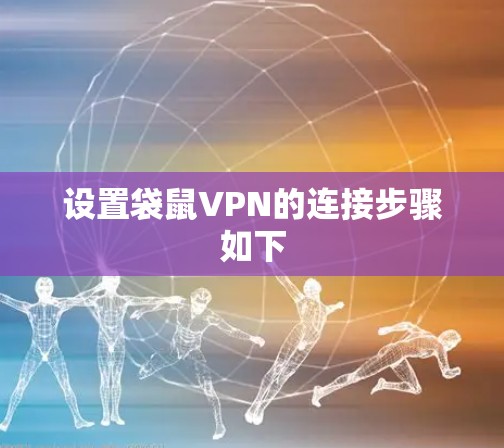 设置袋鼠VPN的连接步骤如下