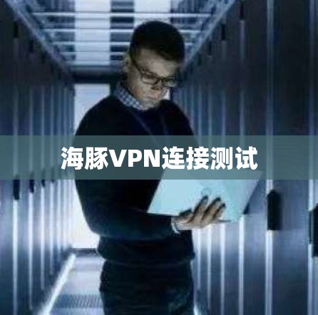 海豚VPN连接测试