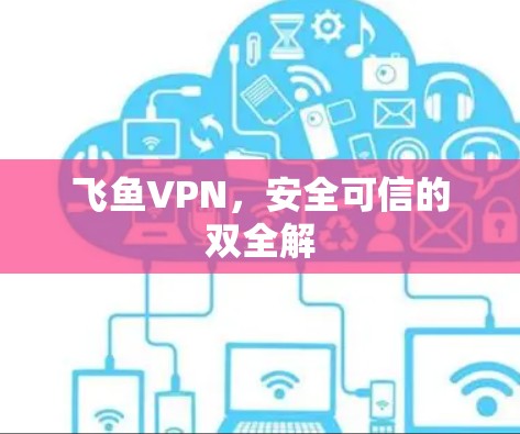 飞鱼VPN,安全可信的双全解 飞鱼VPN,安全可信的双全解