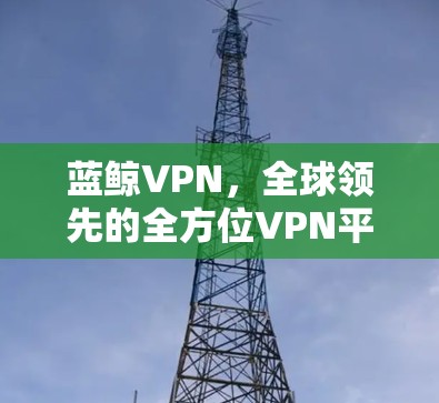 蓝鲸VPN，全球领先的全方位VPN平台，安全可靠，轻松轻松使用