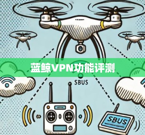 蓝鲸VPN功能评测