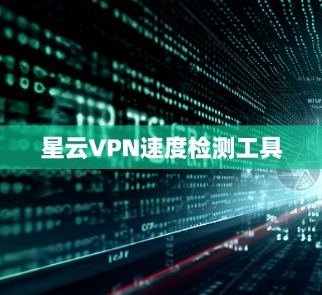 星云VPN速度检测工具