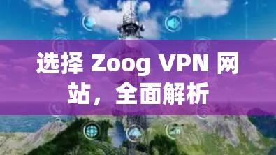 选择 Zoog VPN 网站,全面解析 选择 Zoog VPN 网站,全面解析