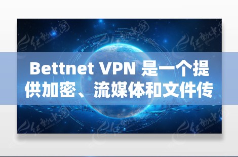 Bettnet VPN 是一个提供加密、流媒体和文件传输功能的VPN服务。以下是对其功能的详细分析