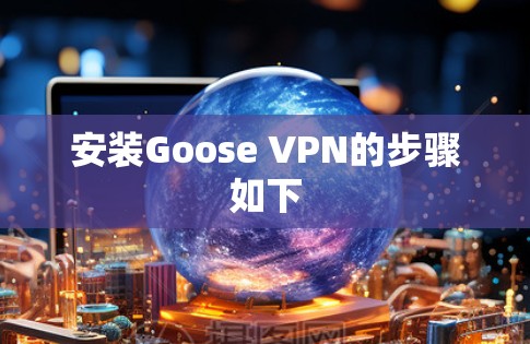 安装Goose VPN的步骤如下