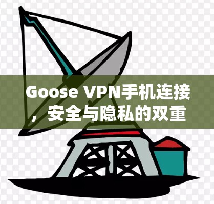 Goose VPN手机连接，安全与隐私的双重保障