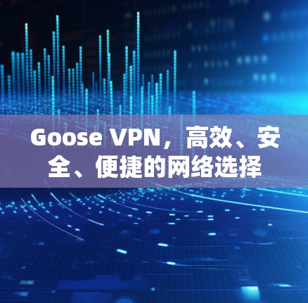 Goose VPN，高效、安全、便捷的网络选择