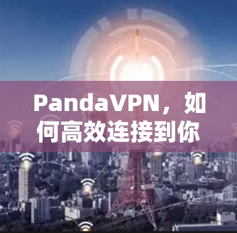 PandaVPN,如何高效连接到你的IP地址?