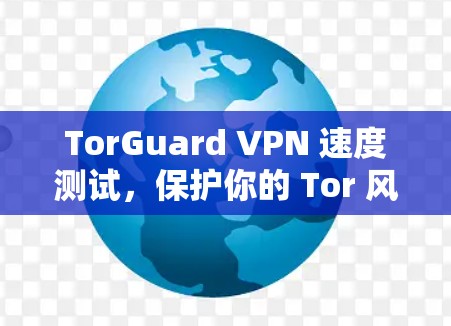 TorGuard VPN 速度测试，保护你的 Tor 风险