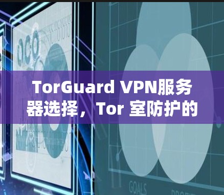 TorGuard VPN服务器选择,Tor 室防护的关键解决方案