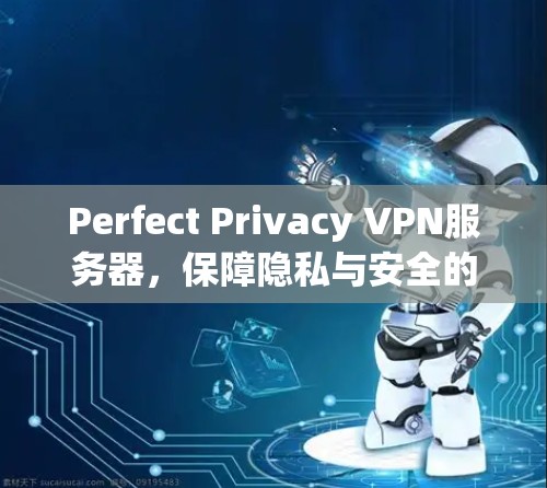 Perfect Privacy VPN服务器,保障隐私与安全的云应用传输解决方案