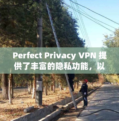 Perfect Privacy VPN 提供了丰富的隐私功能,以帮助用户更好地保护个人隐私。以下是其主要的隐私功能
