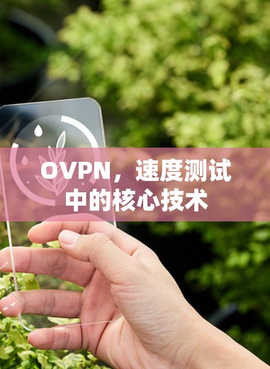 OVPN,速度测试中的核心技术