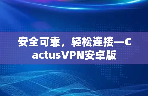 安全可靠,轻松连接—CactusVPN安卓版
