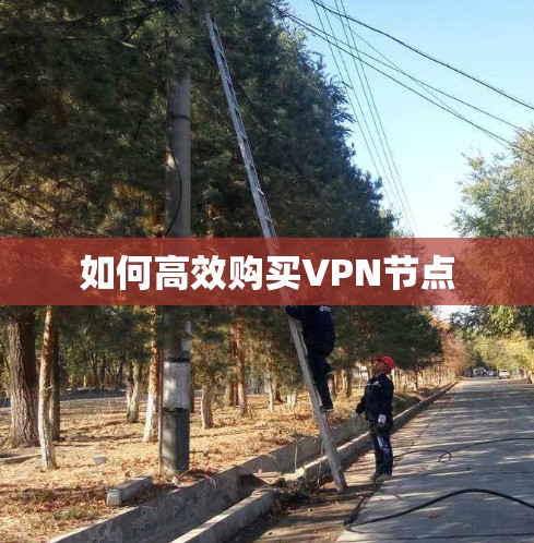 如何高效购买VPN节点