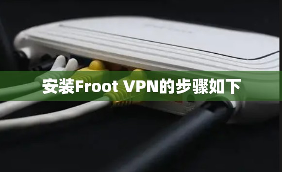 安装Froot VPN的步骤如下