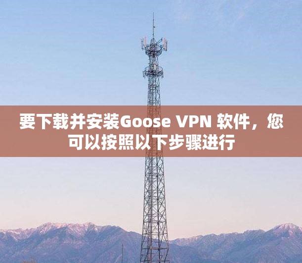 要下载并安装Goose VPN 软件，您可以按照以下步骤进行