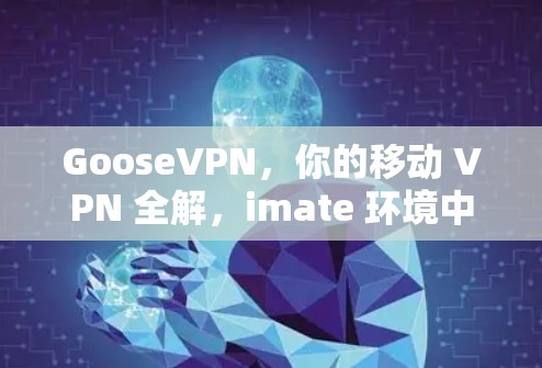 GooseVPN，你的移动 VPN 全解，imate 环境中轻松连接外部网络