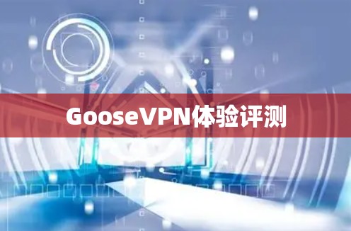GooseVPN体验评测 GooseVPN体验评测