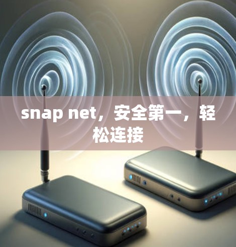snap net,安全第一,轻松连接 snap net,安全第一,轻松连接