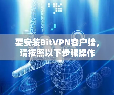 要安装BitVPN客户端,请按照以下步骤操作 要安装BitVPN客户端,请按照以下步骤操作
