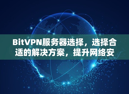 BitVPN服务器选择，选择合适的解决方案，提升网络安全