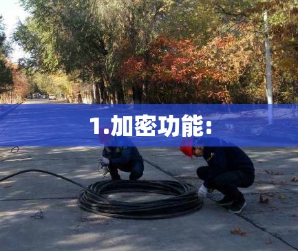 1.加密功能: