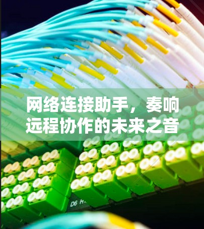 网络连接助手,奏响远程协作的未来之音 网络连接助手,奏响远程协作的未来之音