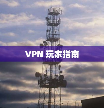 VPN 玩家指南