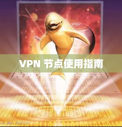 VPN 节点使用指南 VPN 节点使用指南