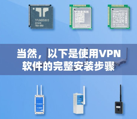 当然，以下是使用VPN软件的完整安装步骤