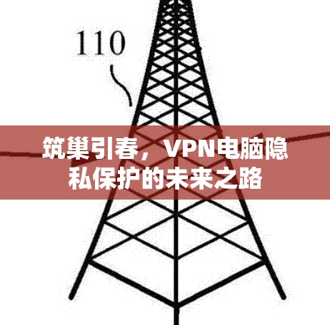 筑巢引春，VPN电脑隐私保护的未来之路